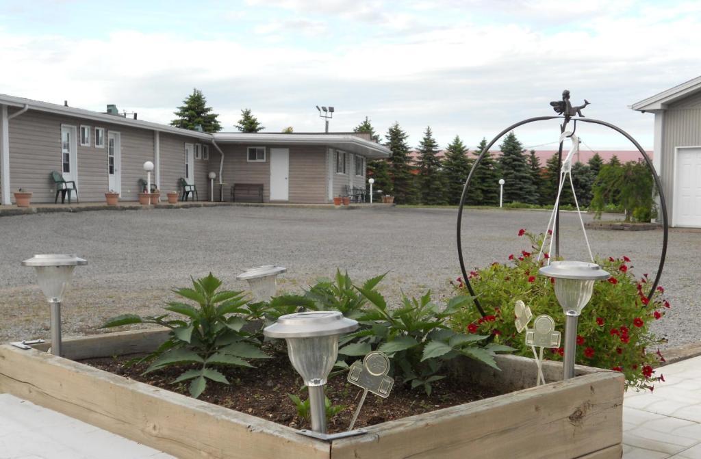 Motel Normandie Louiseville Dış mekan fotoğraf